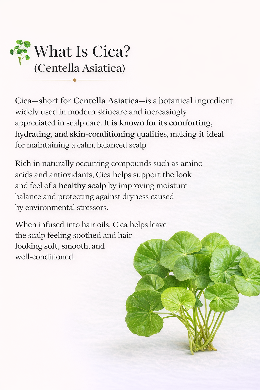 Rosemary Mint Strengthen & Grow Oil – Hair & Scalp Oil
